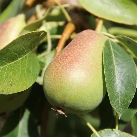 Βίλα Veralda, La Magia Di Toscana Insolita Fivizzano